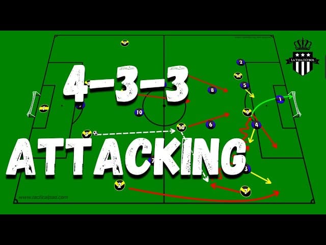 Football Basics: Understanding Positions & Roles